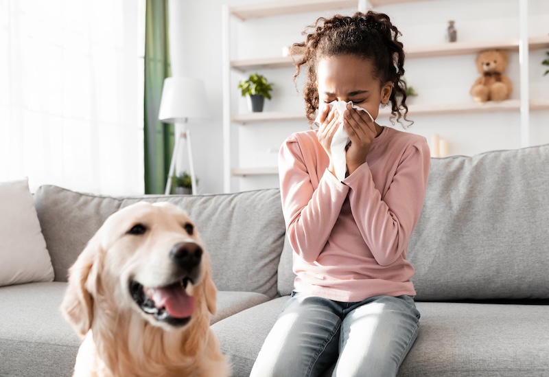 Indoor Air Quality for Allergy Sufferers: Creating a Sanctuary in Your Home 