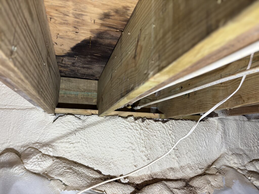 Joist Repair